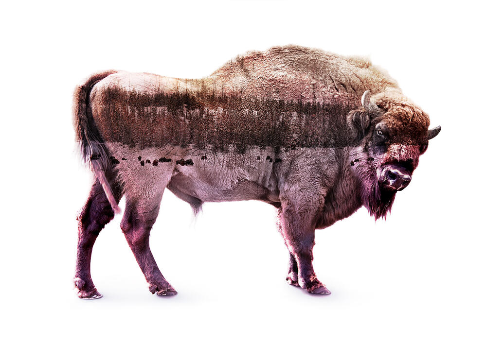 Photoshop Overlay Method